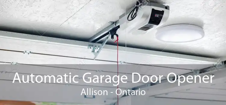 Automatic Garage Door Opener Allison - Ontario