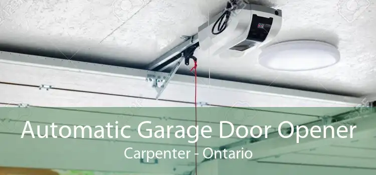 Automatic Garage Door Opener Carpenter - Ontario