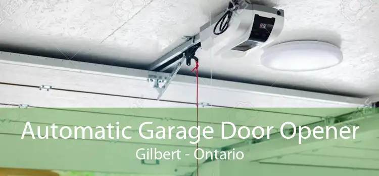 Automatic Garage Door Opener Gilbert - Ontario