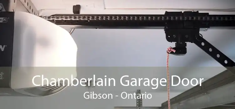 Chamberlain Garage Door Gibson - Ontario