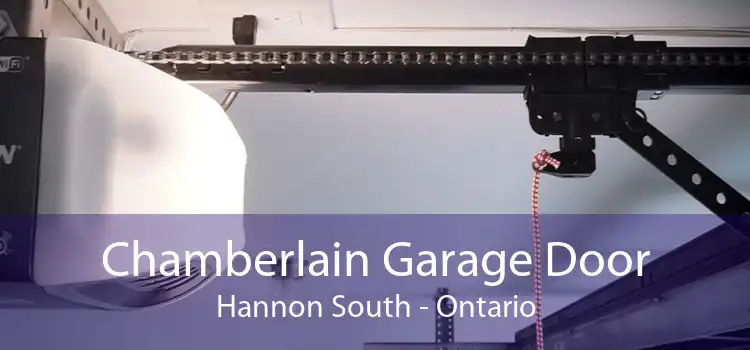 Chamberlain Garage Door Hannon South - Ontario