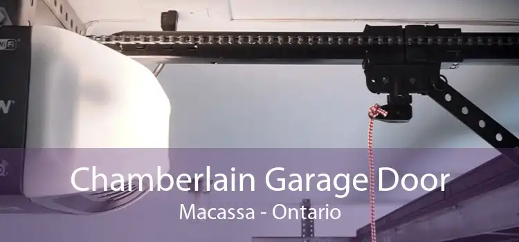 Chamberlain Garage Door Macassa - Ontario
