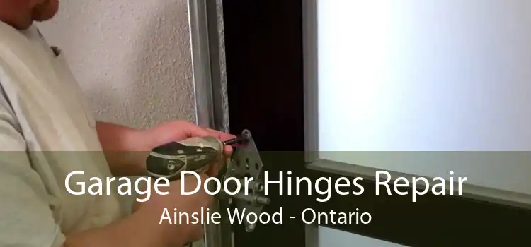 Garage Door Hinges Repair Ainslie Wood - Ontario