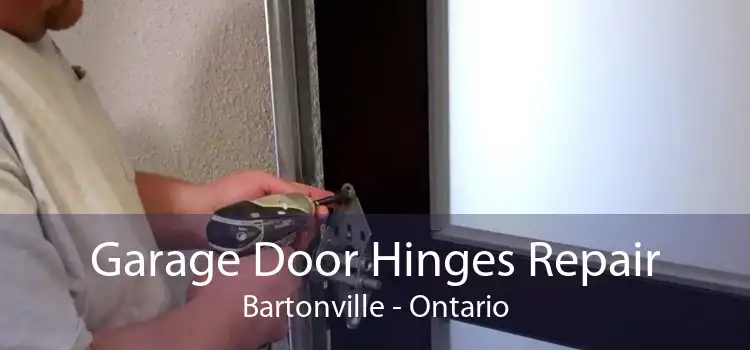 Garage Door Hinges Repair Bartonville - Ontario