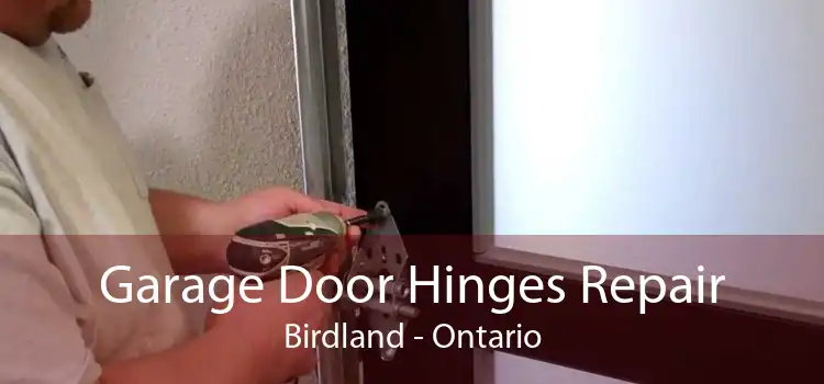 Garage Door Hinges Repair Birdland - Ontario