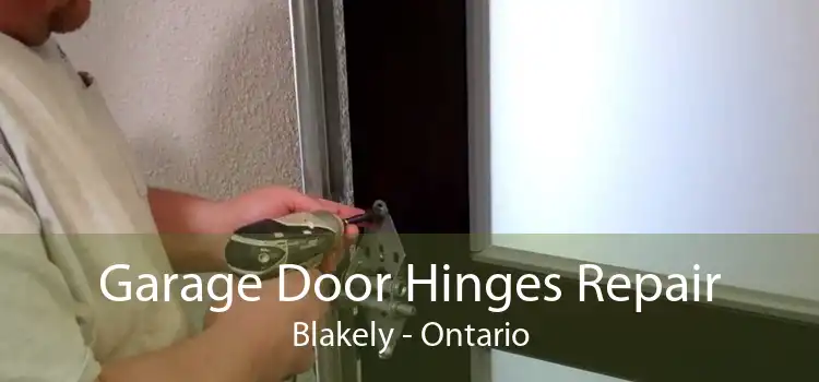 Garage Door Hinges Repair Blakely - Ontario