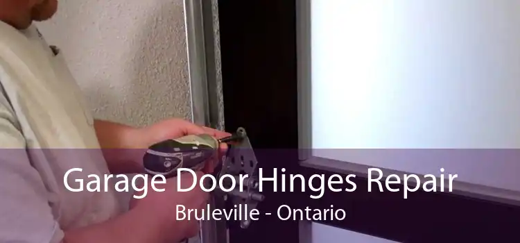 Garage Door Hinges Repair Bruleville - Ontario