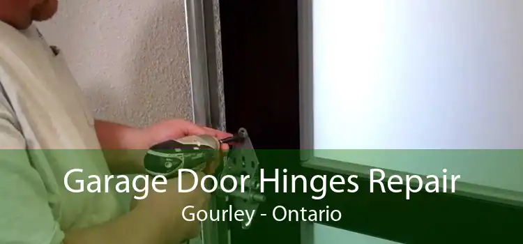 Garage Door Hinges Repair Gourley - Ontario