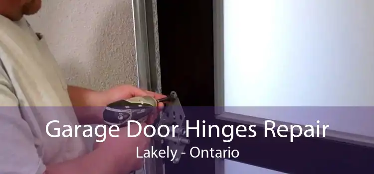 Garage Door Hinges Repair Lakely - Ontario