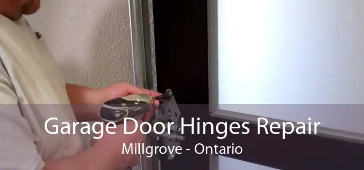 Garage Door Hinges Repair Millgrove - Ontario