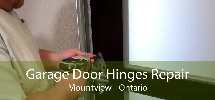 Garage Door Hinges Repair Mountview - Ontario