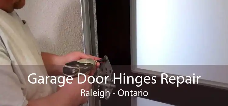 Garage Door Hinges Repair Raleigh - Ontario
