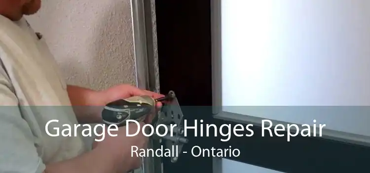 Garage Door Hinges Repair Randall - Ontario