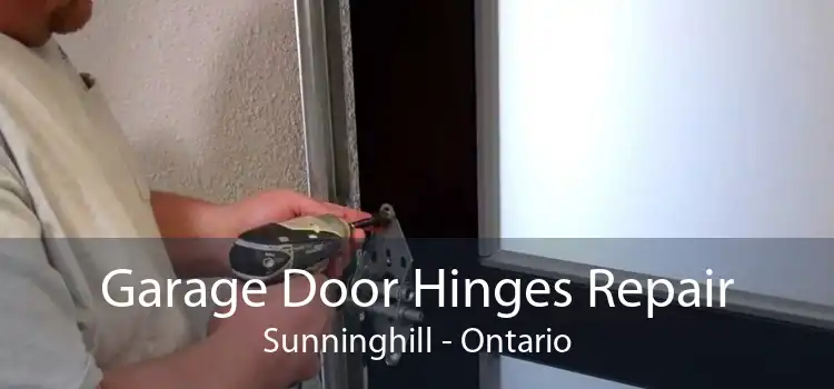 Garage Door Hinges Repair Sunninghill - Ontario