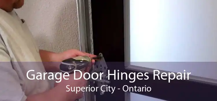 Garage Door Hinges Repair Superior City - Ontario