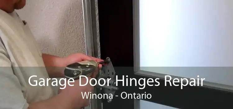 Garage Door Hinges Repair Winona - Ontario