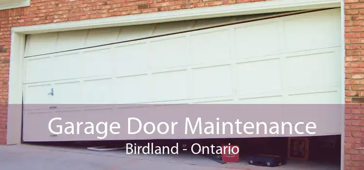 Garage Door Maintenance Birdland - Ontario