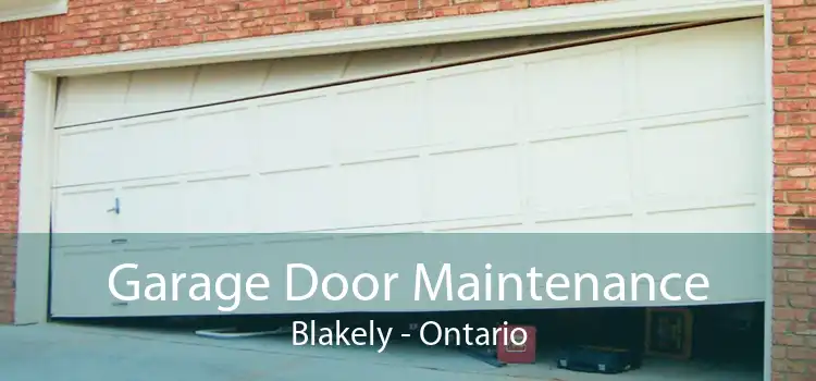 Garage Door Maintenance Blakely - Ontario