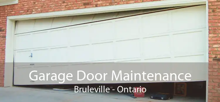 Garage Door Maintenance Bruleville - Ontario