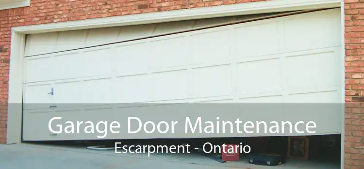 Garage Door Maintenance Escarpment - Ontario
