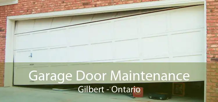 Garage Door Maintenance Gilbert - Ontario