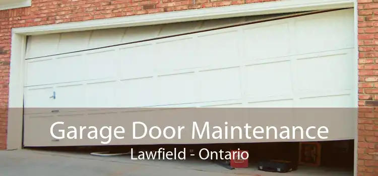 Garage Door Maintenance Lawfield - Ontario