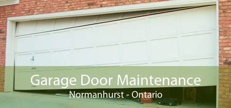 Garage Door Maintenance Normanhurst - Ontario