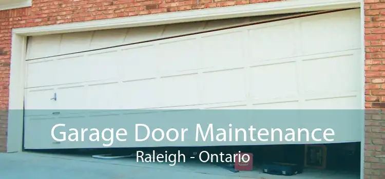 Garage Door Maintenance Raleigh - Ontario