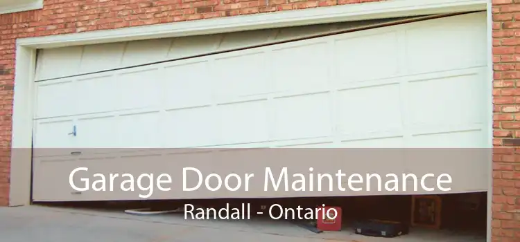 Garage Door Maintenance Randall - Ontario