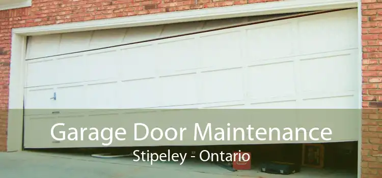 Garage Door Maintenance Stipeley - Ontario