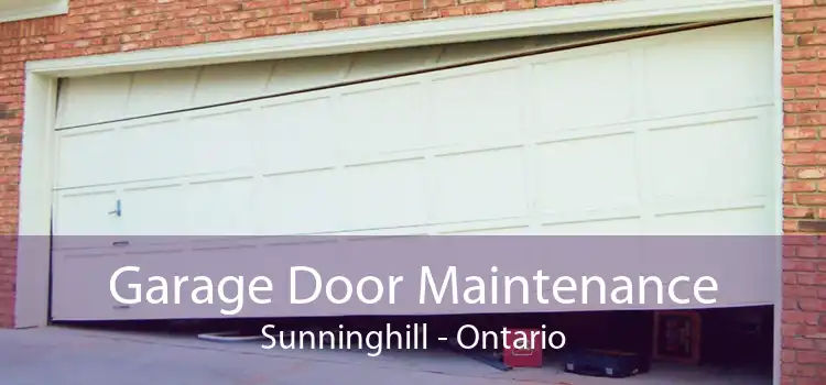 Garage Door Maintenance Sunninghill - Ontario