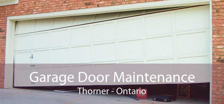 Garage Door Maintenance Thorner - Ontario