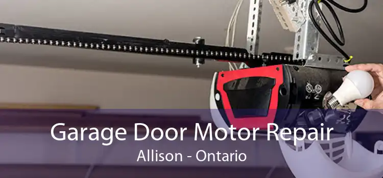 Garage Door Motor Repair Allison - Ontario