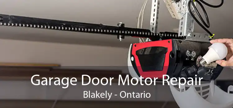 Garage Door Motor Repair Blakely - Ontario