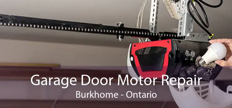Garage Door Motor Repair Burkhome - Ontario