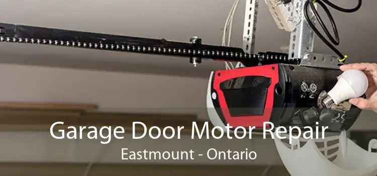 Garage Door Motor Repair Eastmount - Ontario