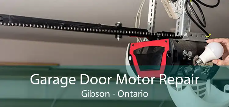 Garage Door Motor Repair Gibson - Ontario