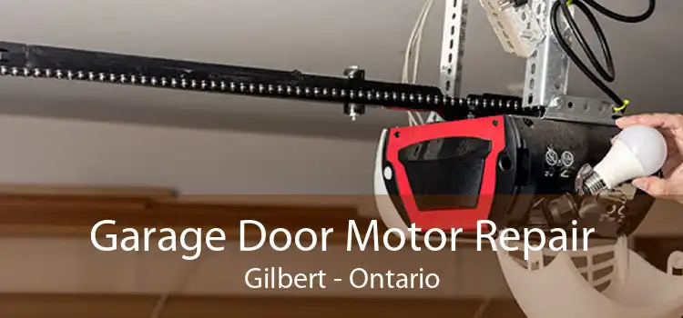 Garage Door Motor Repair Gilbert - Ontario