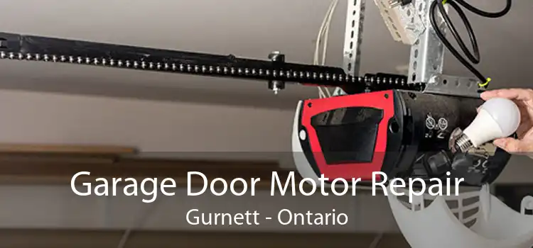 Garage Door Motor Repair Gurnett - Ontario