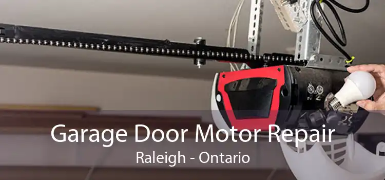 Garage Door Motor Repair Raleigh - Ontario