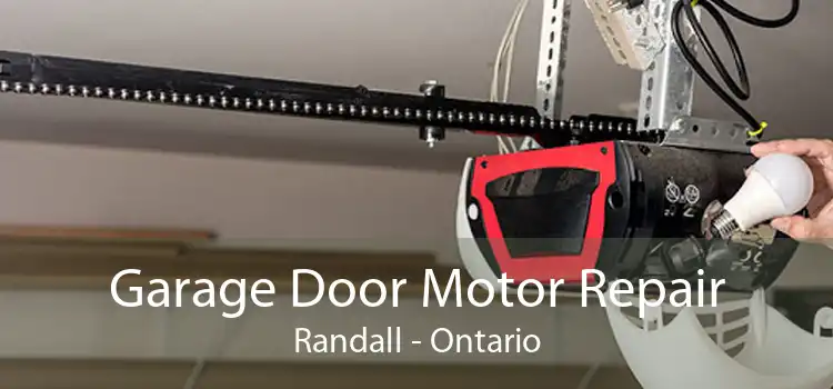 Garage Door Motor Repair Randall - Ontario