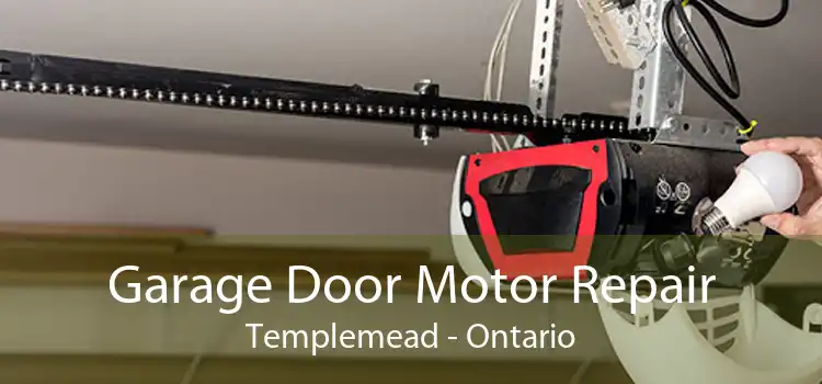 Garage Door Motor Repair Templemead - Ontario