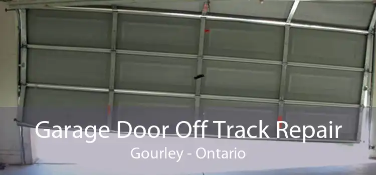Garage Door Off Track Repair Gourley - Ontario