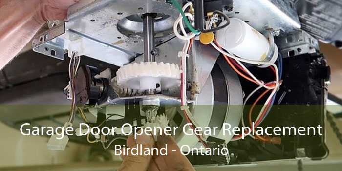 Garage Door Opener Gear Replacement Birdland - Ontario