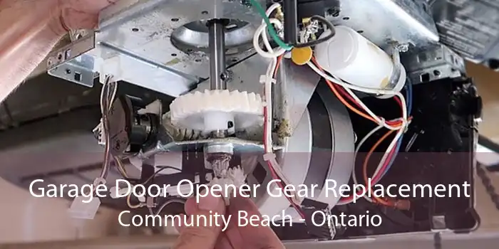 Garage Door Opener Gear Replacement Community Beach - Ontario