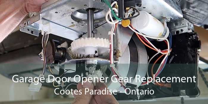 Garage Door Opener Gear Replacement Cootes Paradise - Ontario