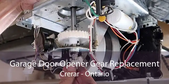 Garage Door Opener Gear Replacement Crerar - Ontario