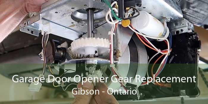 Garage Door Opener Gear Replacement Gibson - Ontario