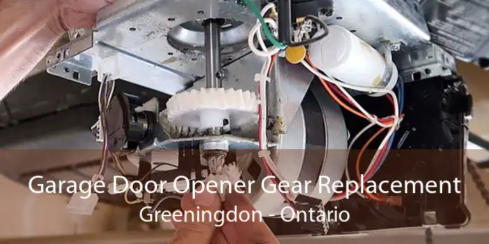 Garage Door Opener Gear Replacement Greeningdon - Ontario