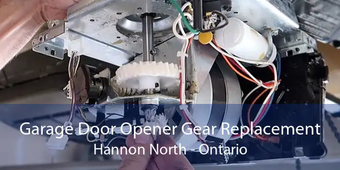 Garage Door Opener Gear Replacement Hannon North - Ontario